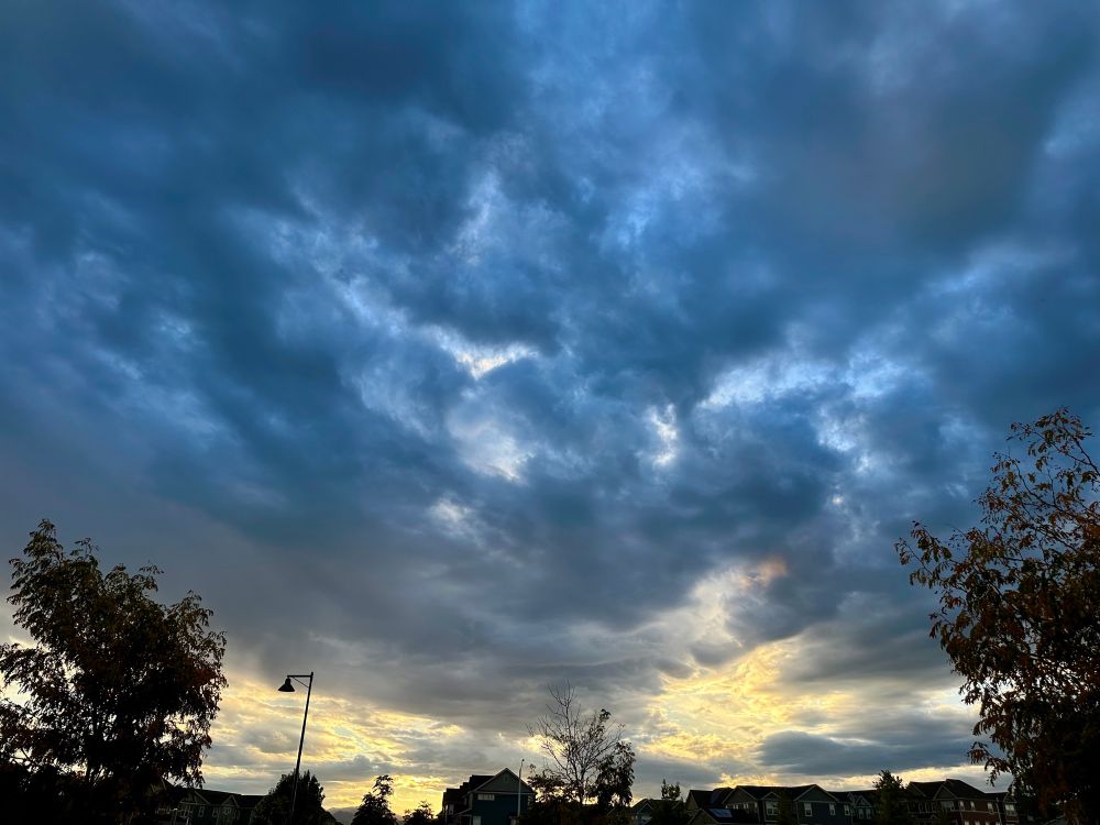 Beautiful blue clouds and the beginning of a yellow sunset on the horizon. Nearby trees and homes along the bottom of the photo.