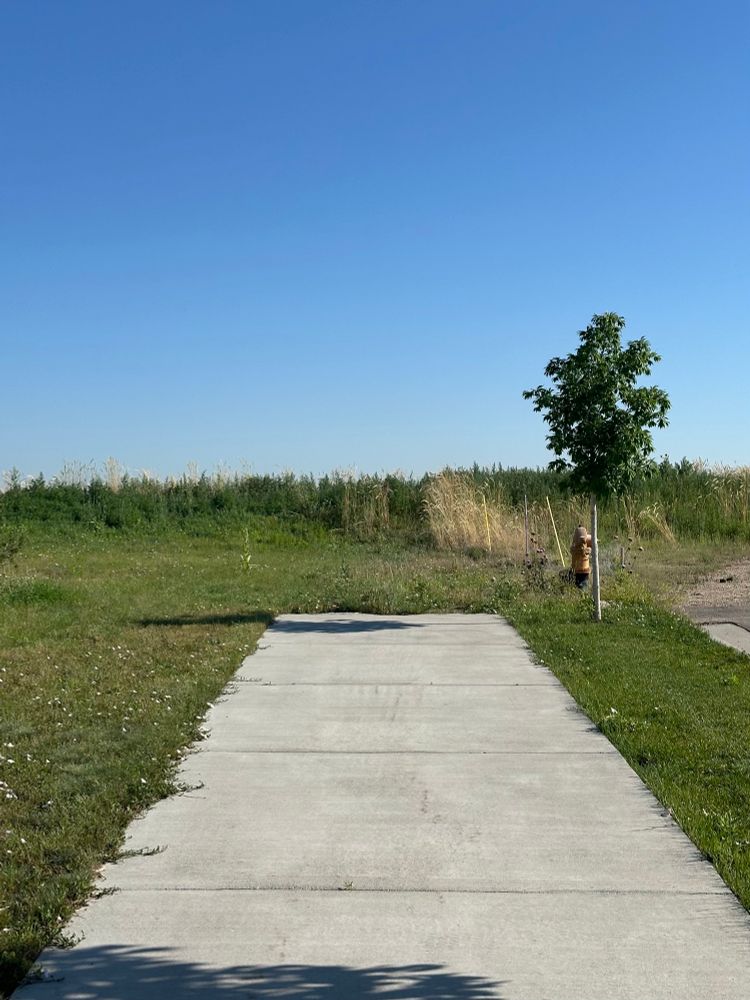A photo of a sidewalk ending abruptly in front of a field