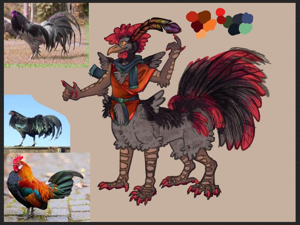 A digital sketch design of a rooster-taur, with inspiration photos to the left.