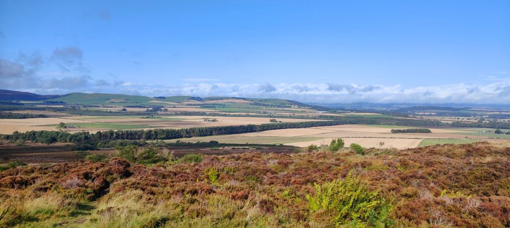 View over fields with heather in foreground