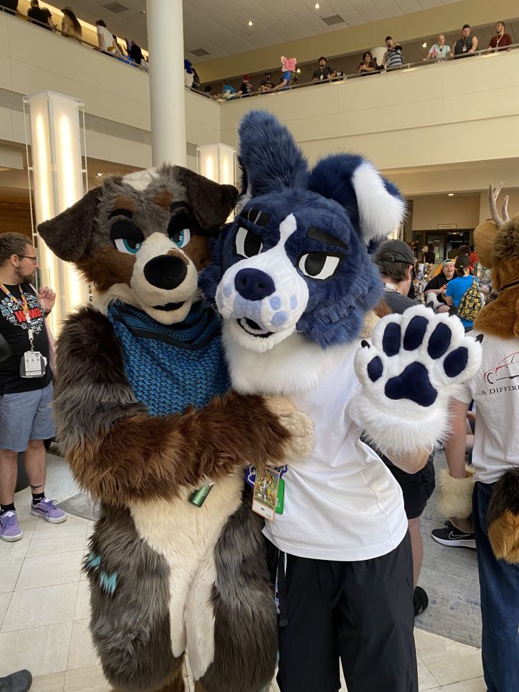 Blue dog fursuiter posing next to brown dog suiter