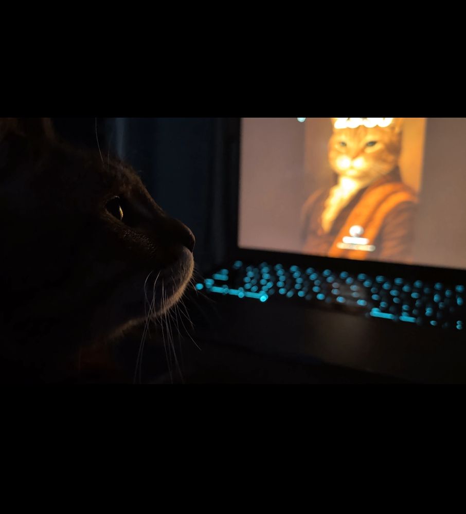 Tabby cat profile gazes off to the side. In the background is laptop with an AI generated tabby cat clad in baroque inspired attire
