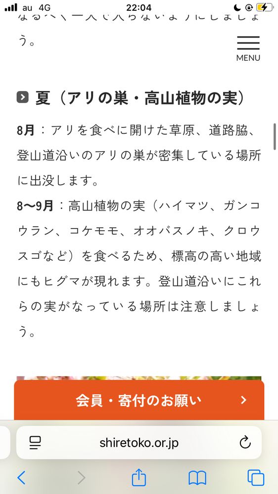 夏（アリの巣・高山植物の実）
8月：アリを食べに開けた草原、道路脇、登山道沿いのアリの巣が密集している場所に出没します。
8～9月：高山植物の実（ハイマツ、ガンコウラン、コケモモ、オオバスノキ、クロウスゴなど）を食べるため、標高の高い地域にもヒグマが現れます。登山道沿いにこれらの実がなっている場所は注意しましょう。