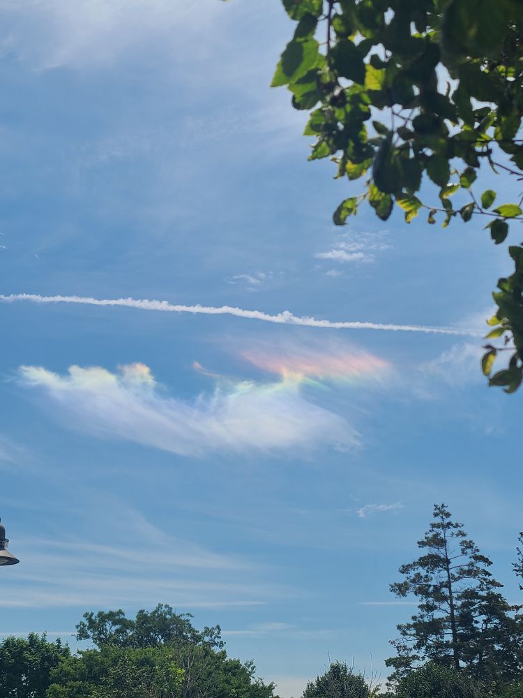 I wonder if I'll find a pot of gold next 🤭