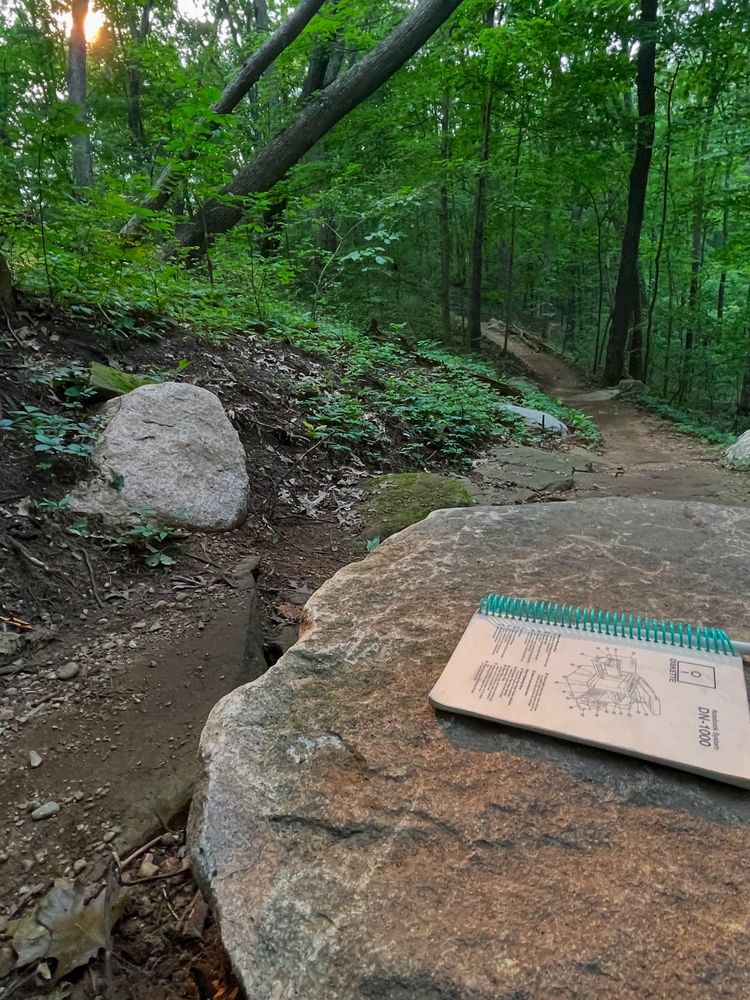 a spiral bound notebook sitting on a rock in the forest, a setting sunbeam is hitting the notebook directly