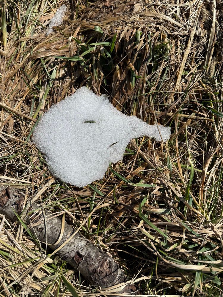 Patch of snow in brown grass
