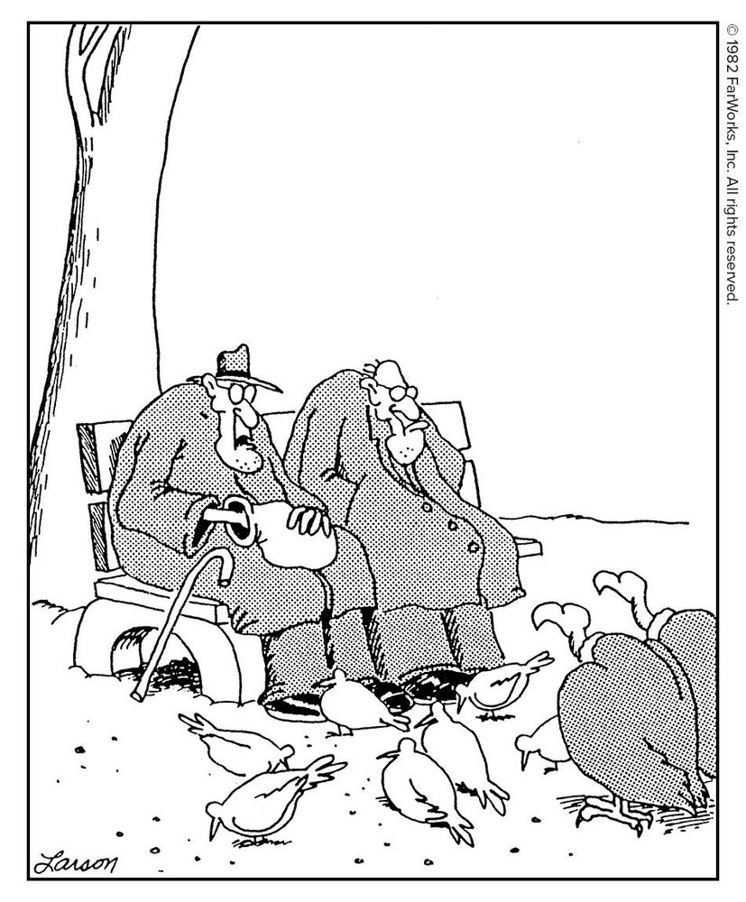 “Now take them big birds, Barnaby. … Never eat a thing … just sit and stare.”