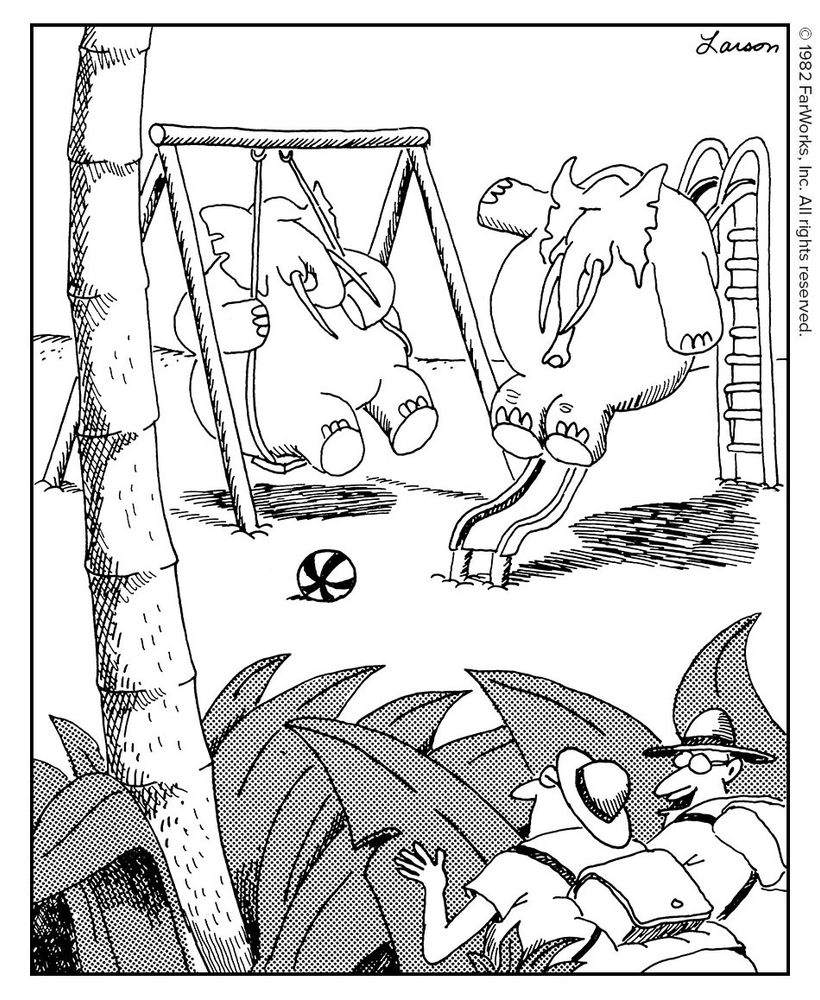 “By Jove! We’ve found it, Simmons! … The Secret
Elephant Playground!”