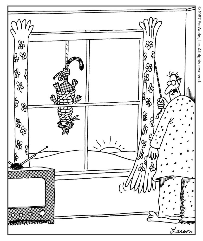 “Emma … the dog ain’t goin’ for the new cat.”