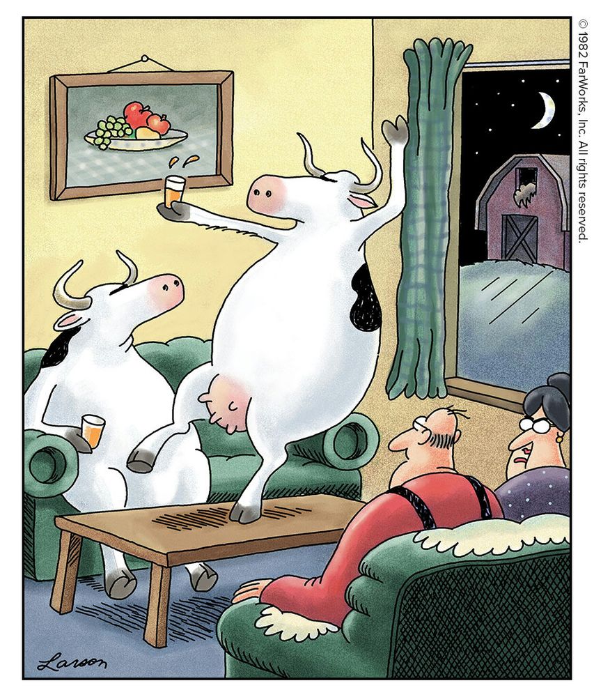 “Satisfied? … I warned you not to invite the cows in for a few drinks.”