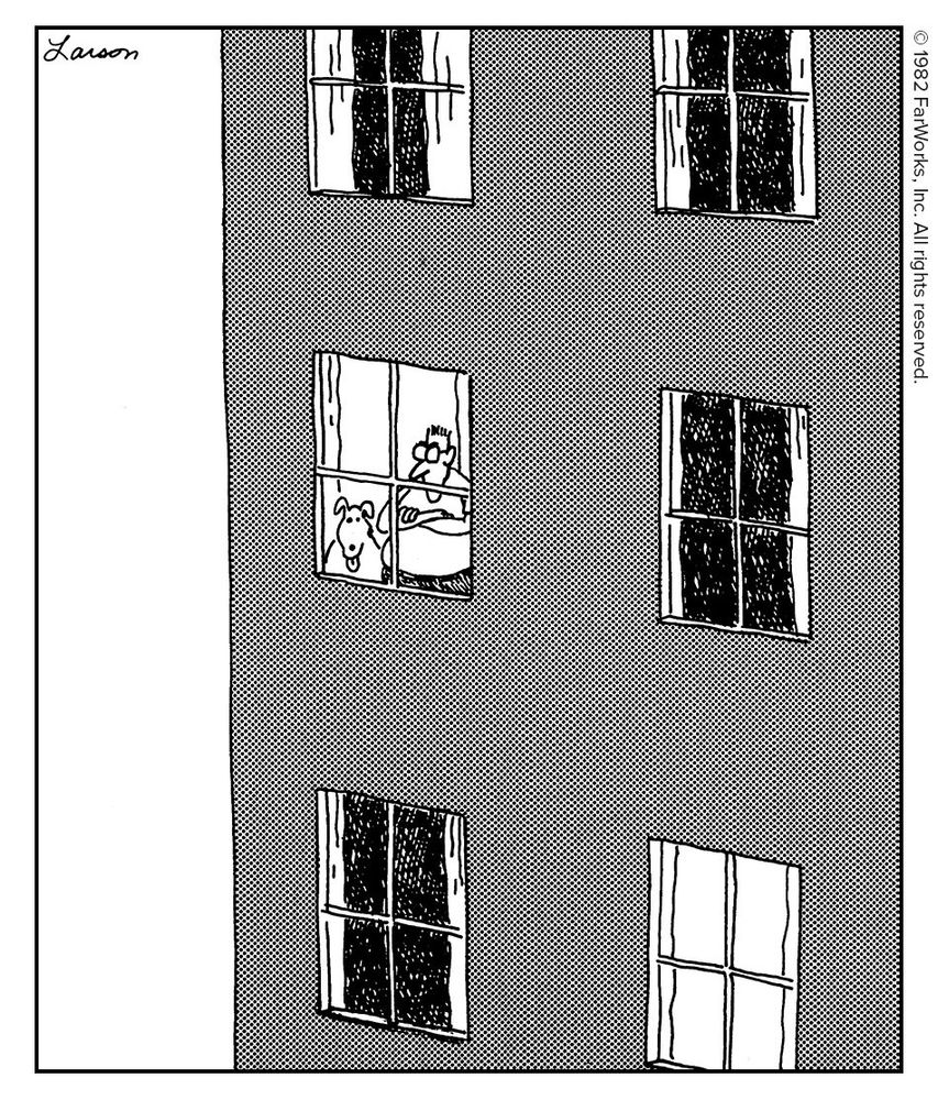 Edwin lived reclusively in his midtown apartment with his dog, Lola, whom he secretly loathed.