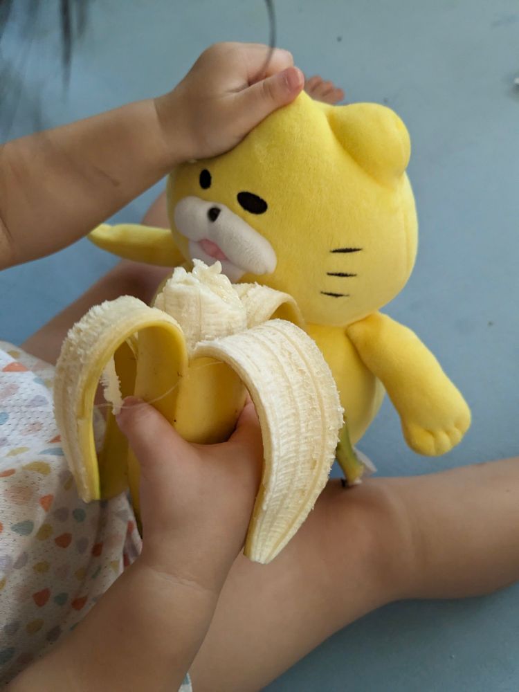 1歳9ヶ月の次女がノラネコぐんだんの人形を鷲掴みにして、食べかけのバナナを口に押し当てている写真だよ。次女は食べさせようとしているよ。