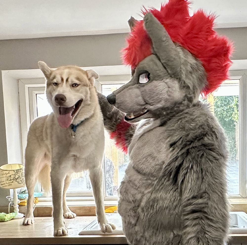 Badwolf Brock and Mylo Pup