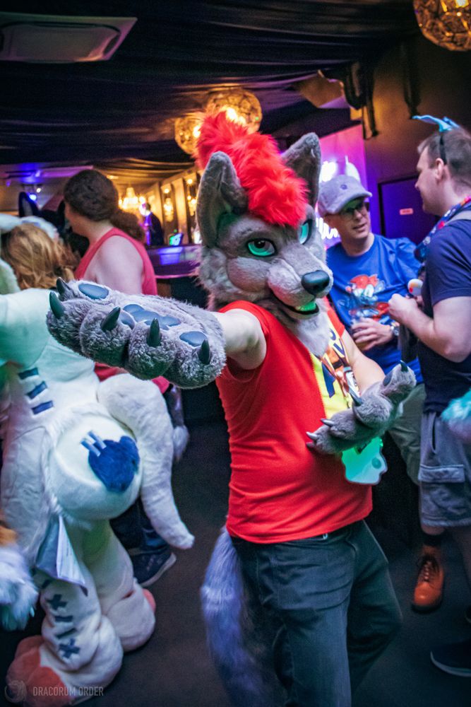 Badwolf Brock at BerkshireFurs