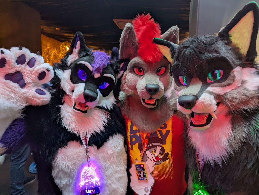 Badwolf Brock with Misty and Corasik