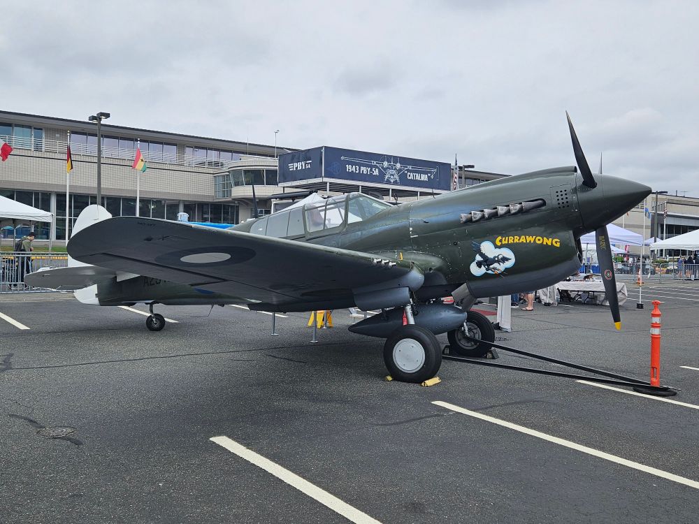 P-40 Kittyhawk airplane with a pistol shooting corvid looking guy on the side 