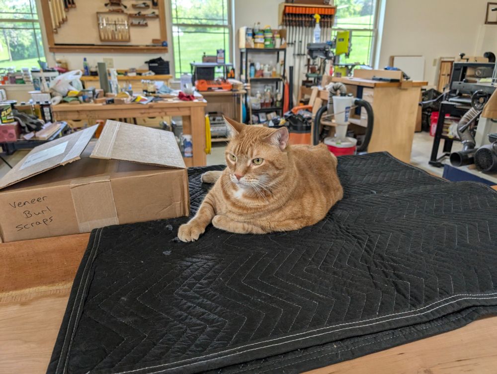 Orange cat sitting on a black blanket in a woodworking shop. Various tools are in the background. 