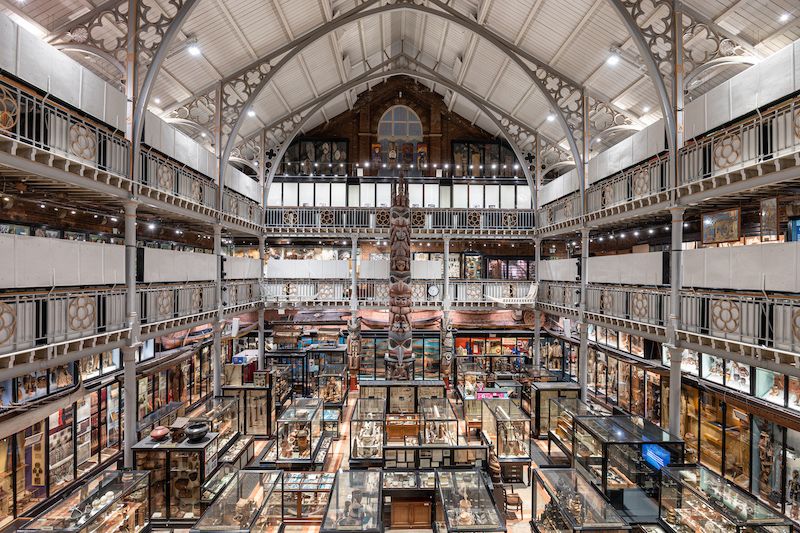 View across museum gallery with packed display cases, ornate ironwork and a white ceiling.