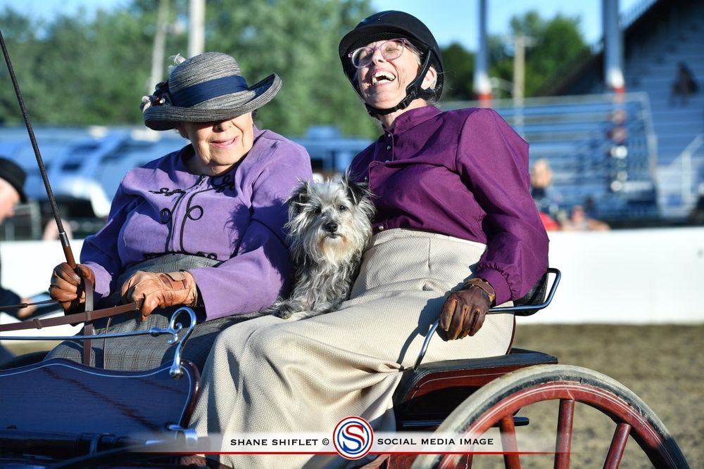 Two women dressed in fancy carriage driving clothes, one smiling, the other laughing, sitting in a wooden road cart with a small grey terrier dog sitting between them. 