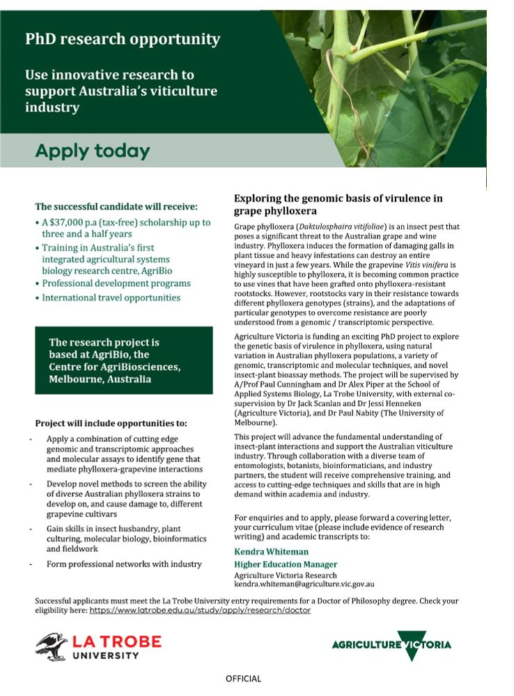 Flyer for Phylloxera PhD