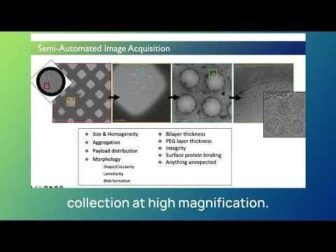 Enhance LNP Development: Cryo-TEM & Automated Image Analysis Tools