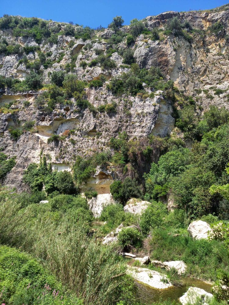 Wildromantisches Tal, der Fluss hat sich tief in die Felsen eingeschnitten.