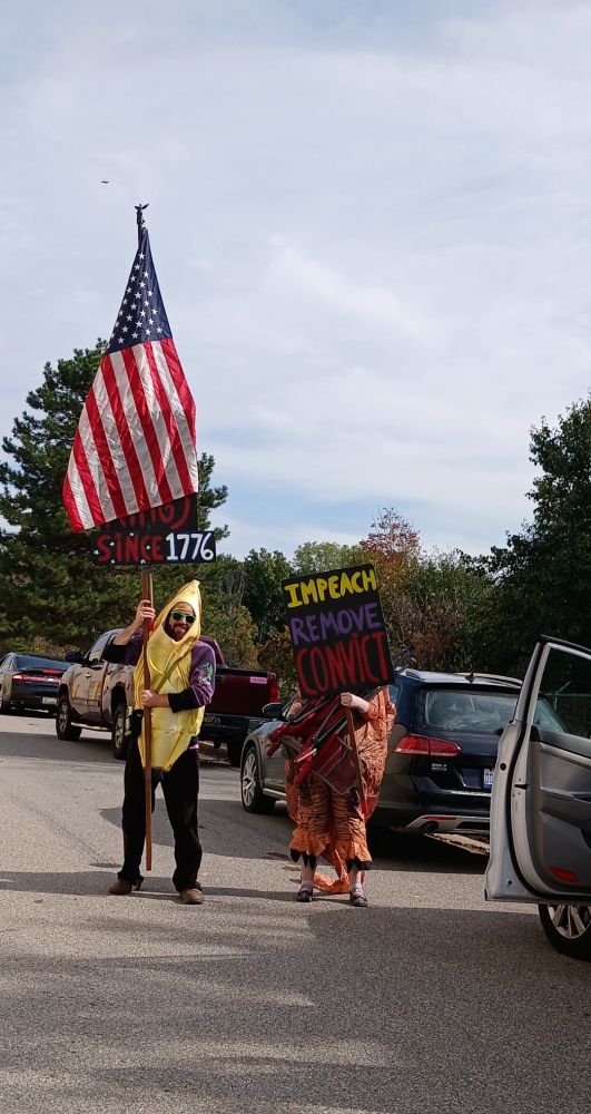 3 images of various No Kings protestors wearing costumes in Oakland County MI Oct 18 2025