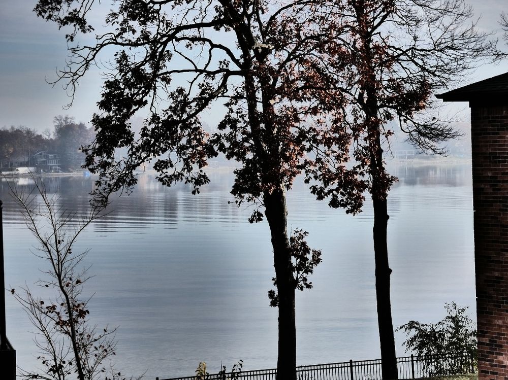 A misty view of a lake with a few half-bare trees in the foreground, glimpse of a matching brown brick building on the right, and a touch of pastel light on the opposite shore. 