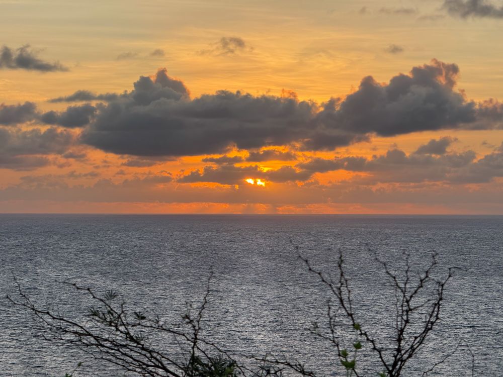 Golden sunrise over the Caribbean Sea at Point Udall, St. Croix. The sun peeks through a line of dark clouds, casting warm orange and yellow reflections across the calm ocean surface with silhouetted branches in the foreground.