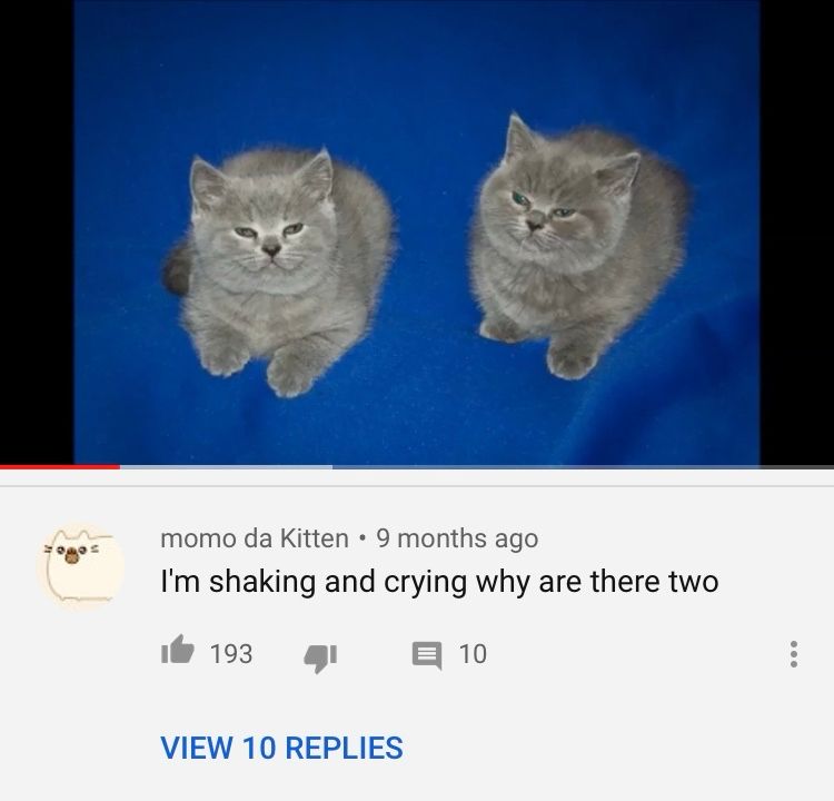 Comment image