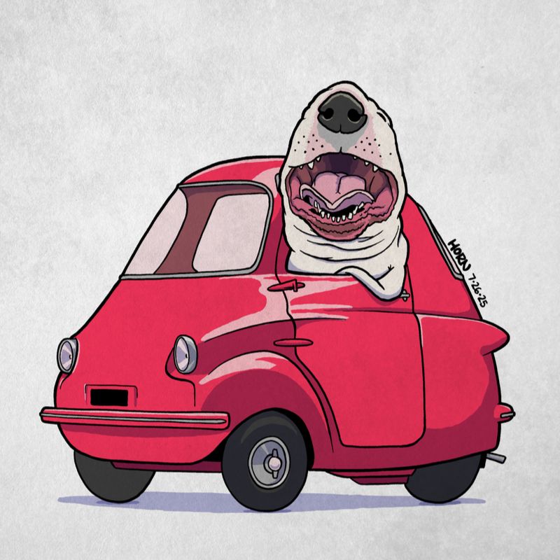 A bull terrier driving a 1957 Scootacar. It seems to be having a very good time.