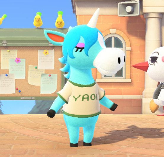 julian acnh wearing yaoi shirt