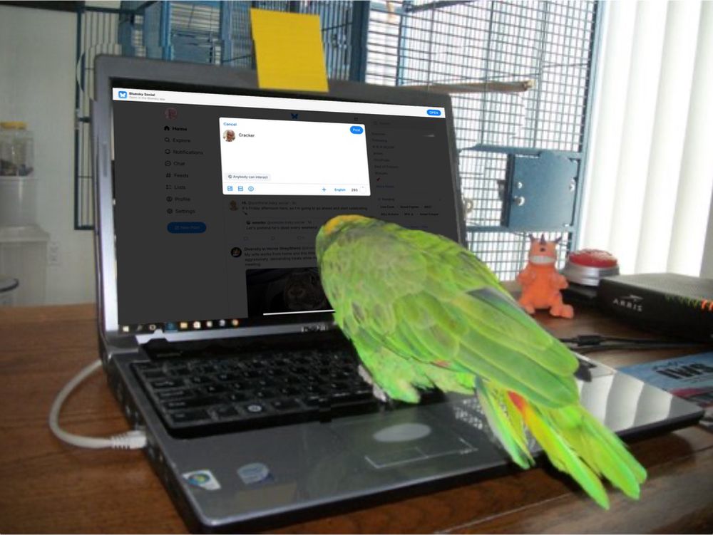 edited photo of a parrot typing cracker on a laptop