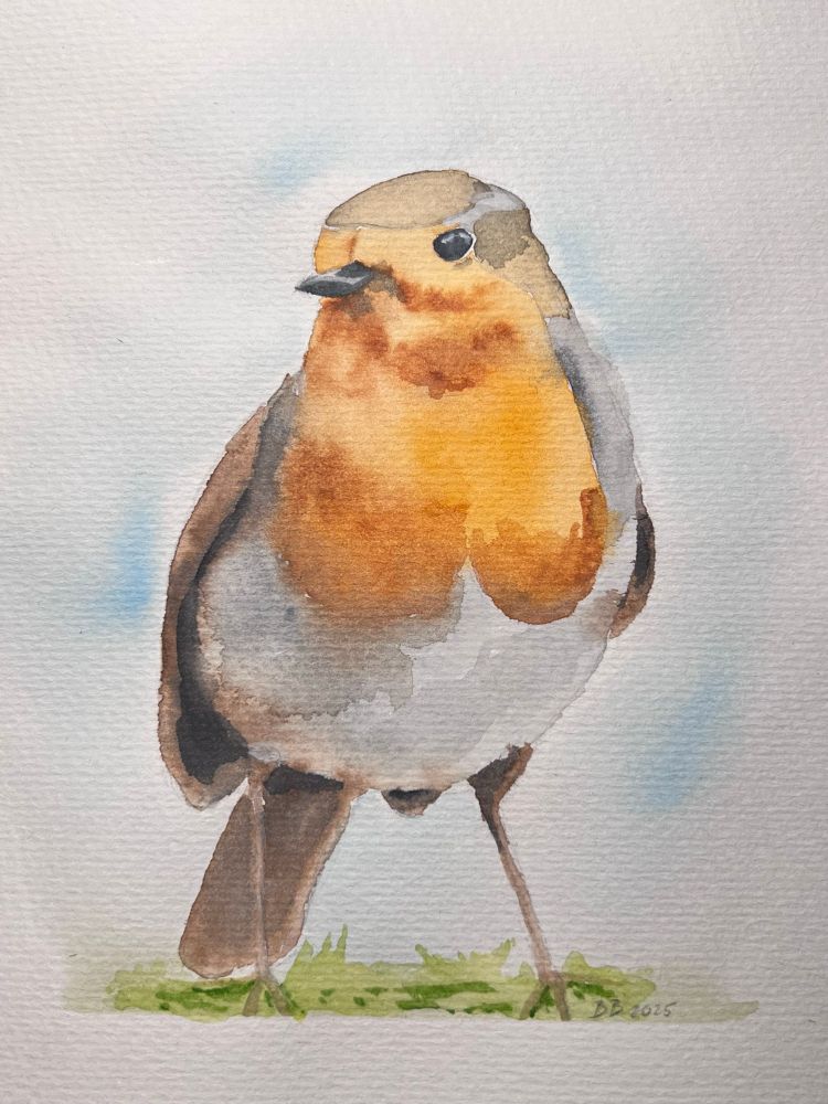 Aquarell eines stehenden Rotkehlchens von vorne