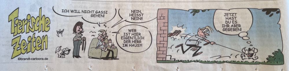 Comic Tierische Zeiten: Eibe Frau hält dem Mann die Hubdeleine hin, der Hund wedelt mit dem Schwanz. Der im Sessel sitzende Mann sagt wütend: Ich will nicht Gassi gehen! Nein heisst nein! Wer ist hier eigentlich der Herr im Haus?! 
Im zweiten Bild wird der Mann mit dem Hund an der Leine aus dem Haus geschubst und der Hund denkt: Jetzt hast du es ihr aber gegeben!