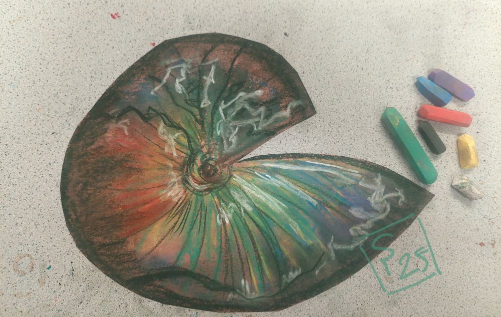 A cutout illustration of a rainbow iridescencent ammonite fossil next to chalk pastels on a white table