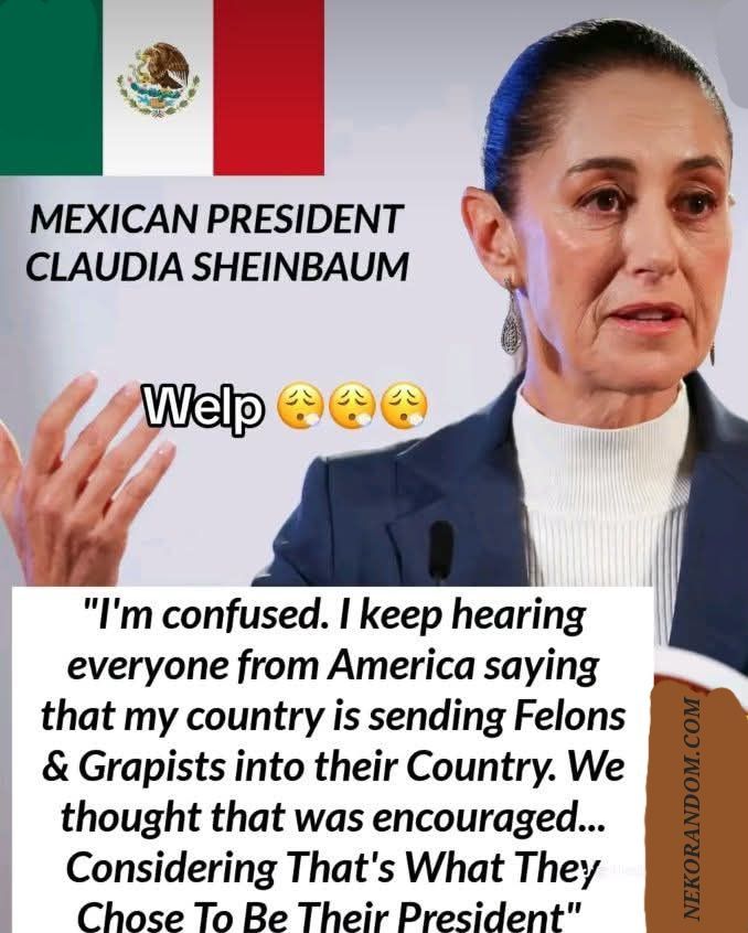 Comment image