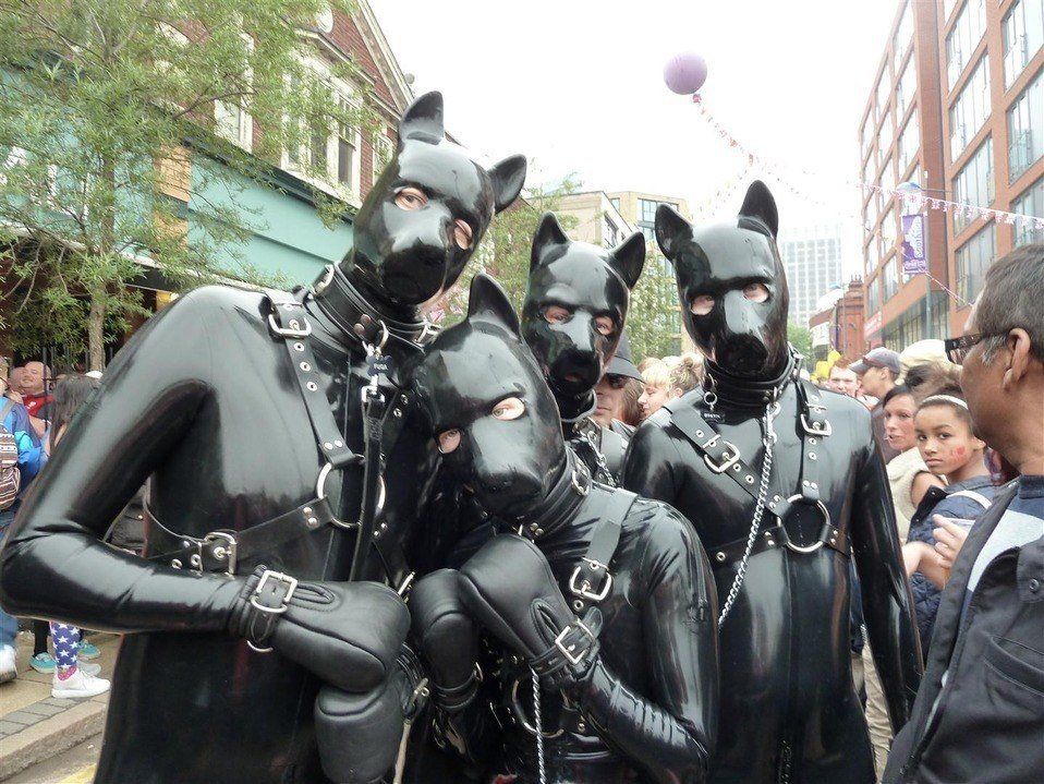 A photo of four identical rubber dogs outside all wearing the same latex suits and dog hoods.