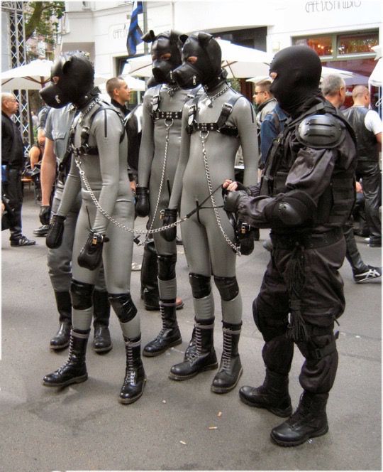 A photo of 4 identical rubber dogs wearing matching rubber suits and leather dogs hoods on the leash of a man in swat gear.