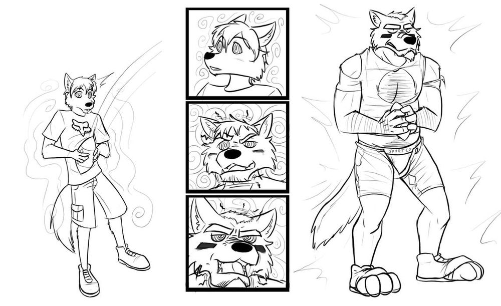 A tf sequence showing a geeky wolf furry catching a football and transforming into a much larger muscular jock wolf version of himself.