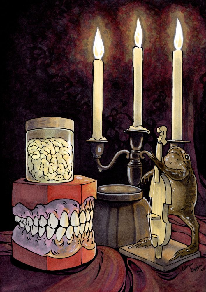 A still life illustration depicting an old dental model, a jarred sheep's brain, a taxidermy cane toad, a cat's urn, and a silver candelabra.