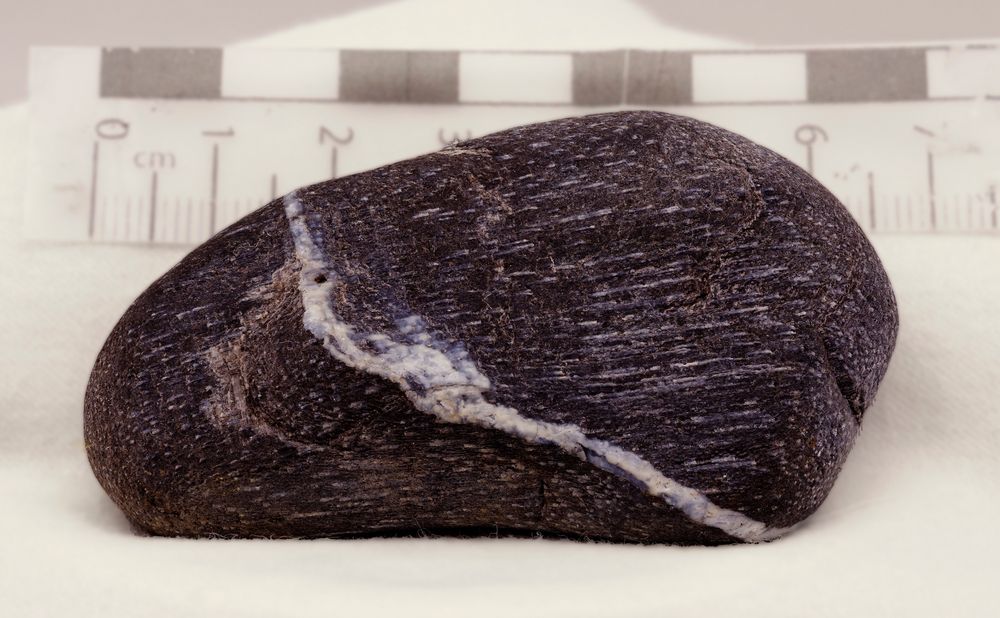 A 6.5cm piece of fossilized wood with a quartz seam running upper right to lower left. Shows grain and cross grain