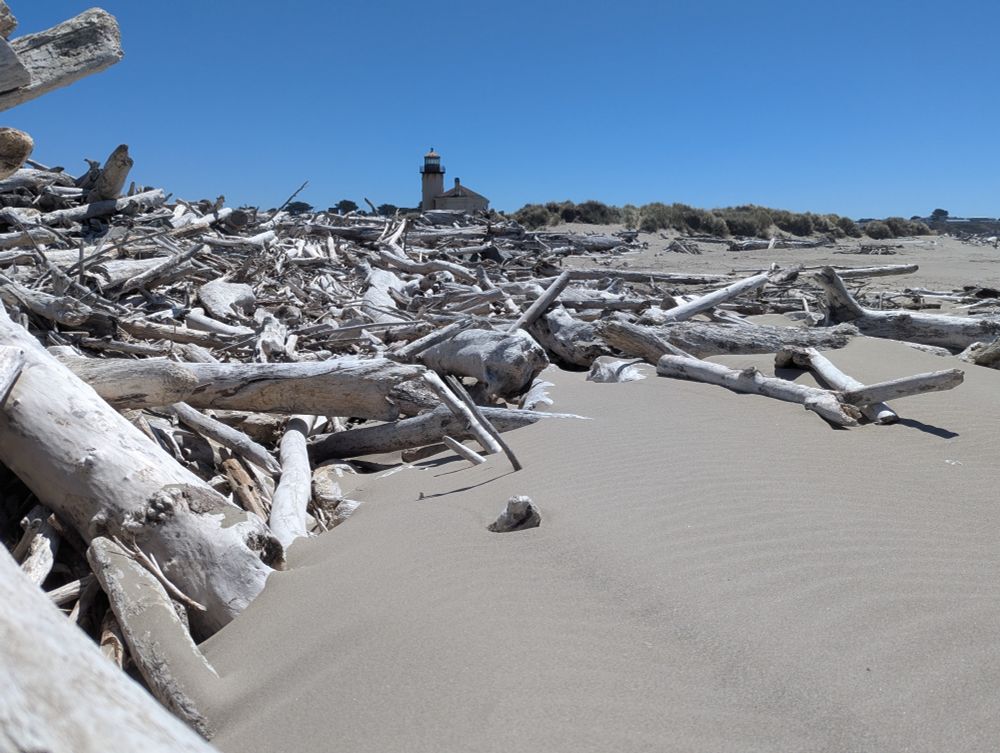 Driftwood stack on the Beach, North Jetty, Bandon, Oregon, USA