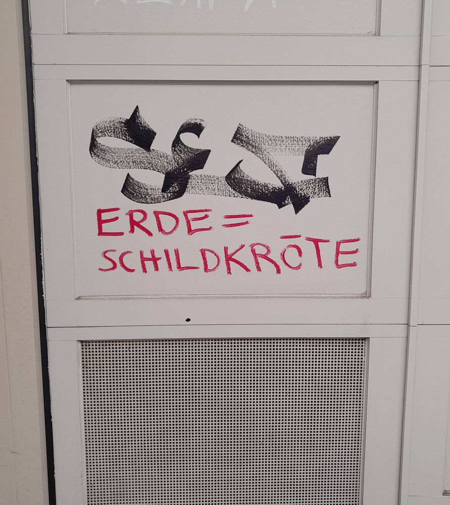graffiti: erde = schildkröte