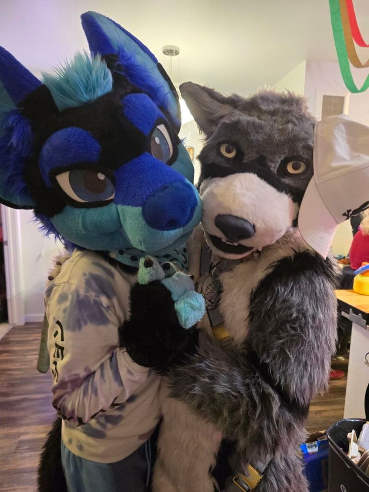 A Gray Wolf fursuiter with a blue wolf fursuiter, embracing each other while looking at you! They appear to wonder you'll join them. 