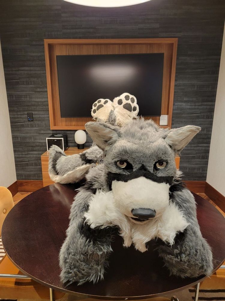 A Gray Wolf fursuiter sprawled on a conference table. His feet paws are lifted up behind him and criss crossed, while he rests his muzzle on the backside of both his handpaws. He appears to be looking at you expectantly. You could both probably fit on that table. 