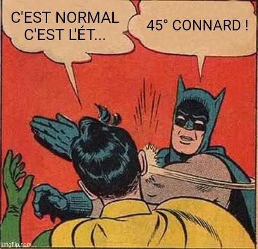 Robin dit "c'est normal c'est l'ét..." mais n'a pas le temps de finir car Batman le frappe en disant "45° connard !"