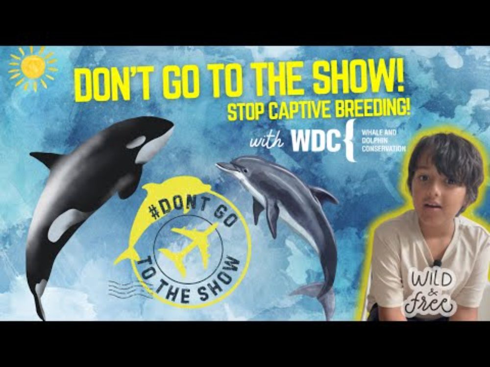 Don't go to the show: Let's end cetacean captive breeding!