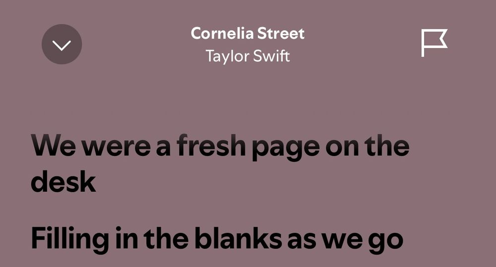 Lyrics to Cornelia street by Taylor swift: “we were a fresh page on the desk, filling in the blanks as we go”