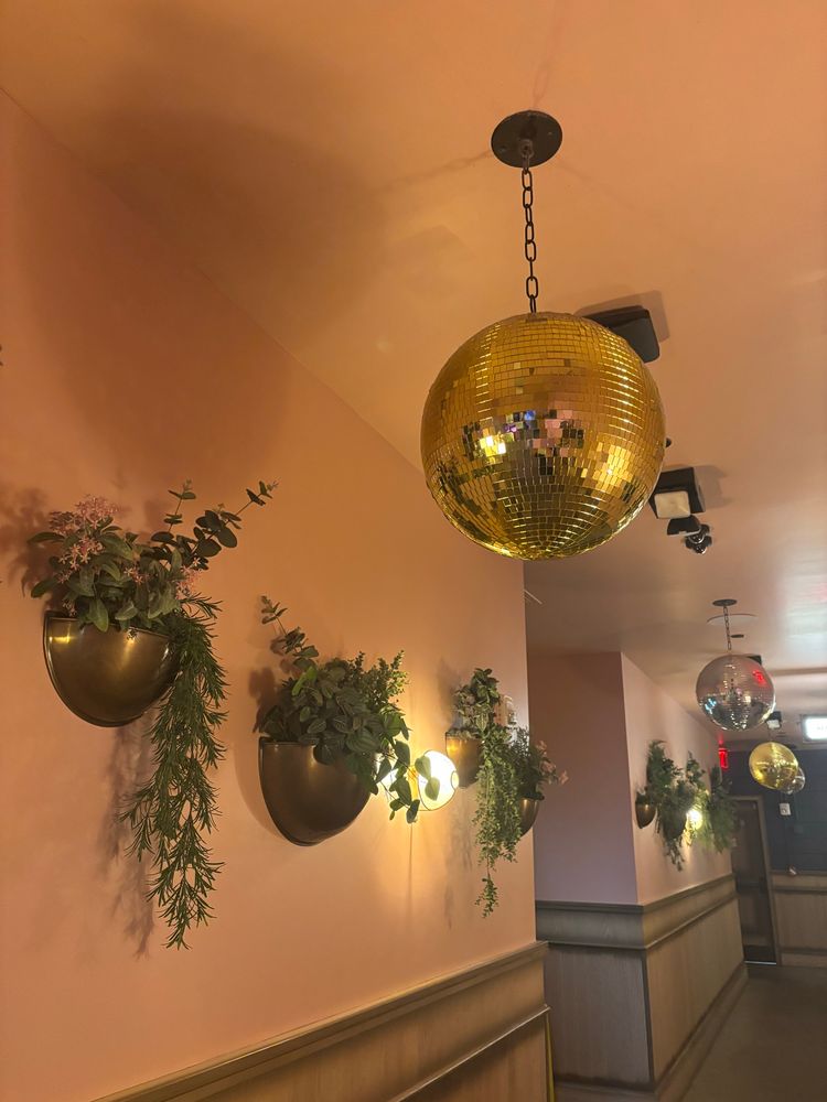 Picture of disco ball hanging from coral ceiling, hanging plants adorn the walls of the corridor